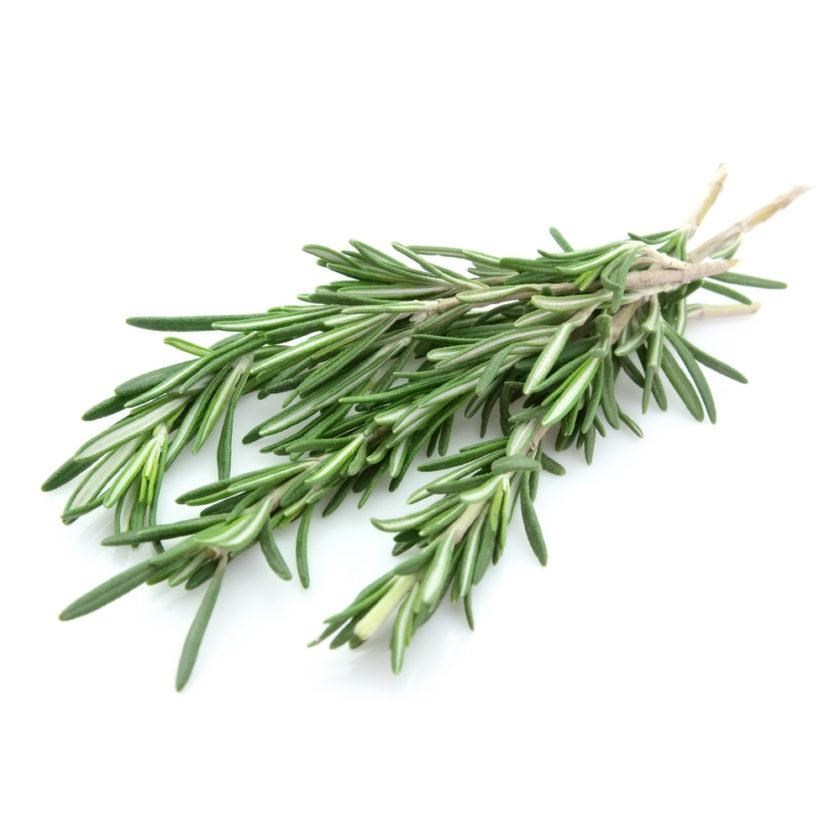 Raw Rosemary Oil