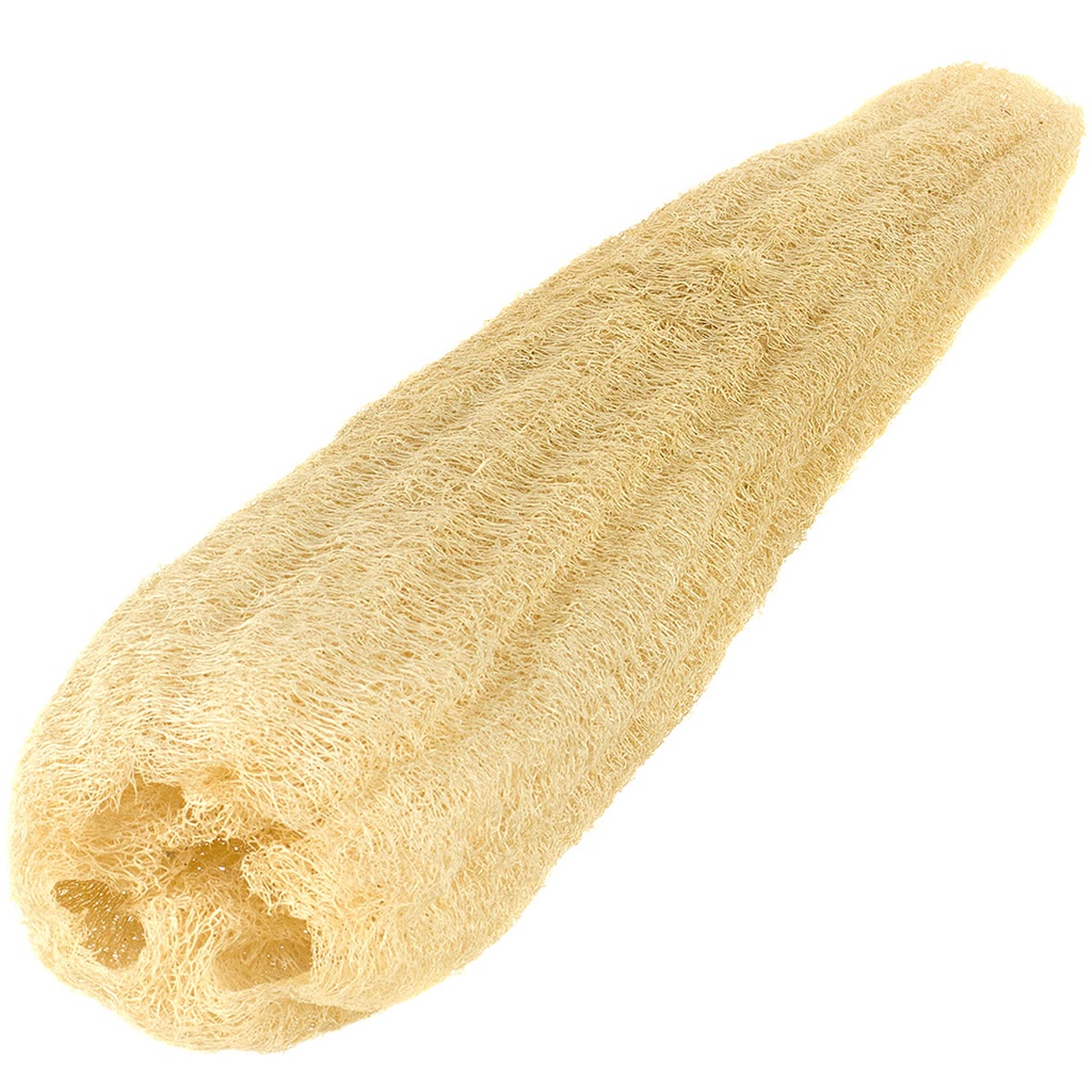 Loofah (Organic)