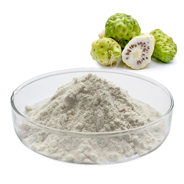 Noni Fruit Extract Powder