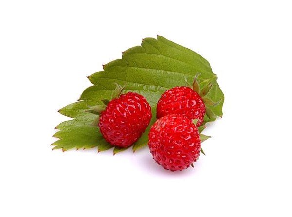 Wild Raspberry Fragrance Oil