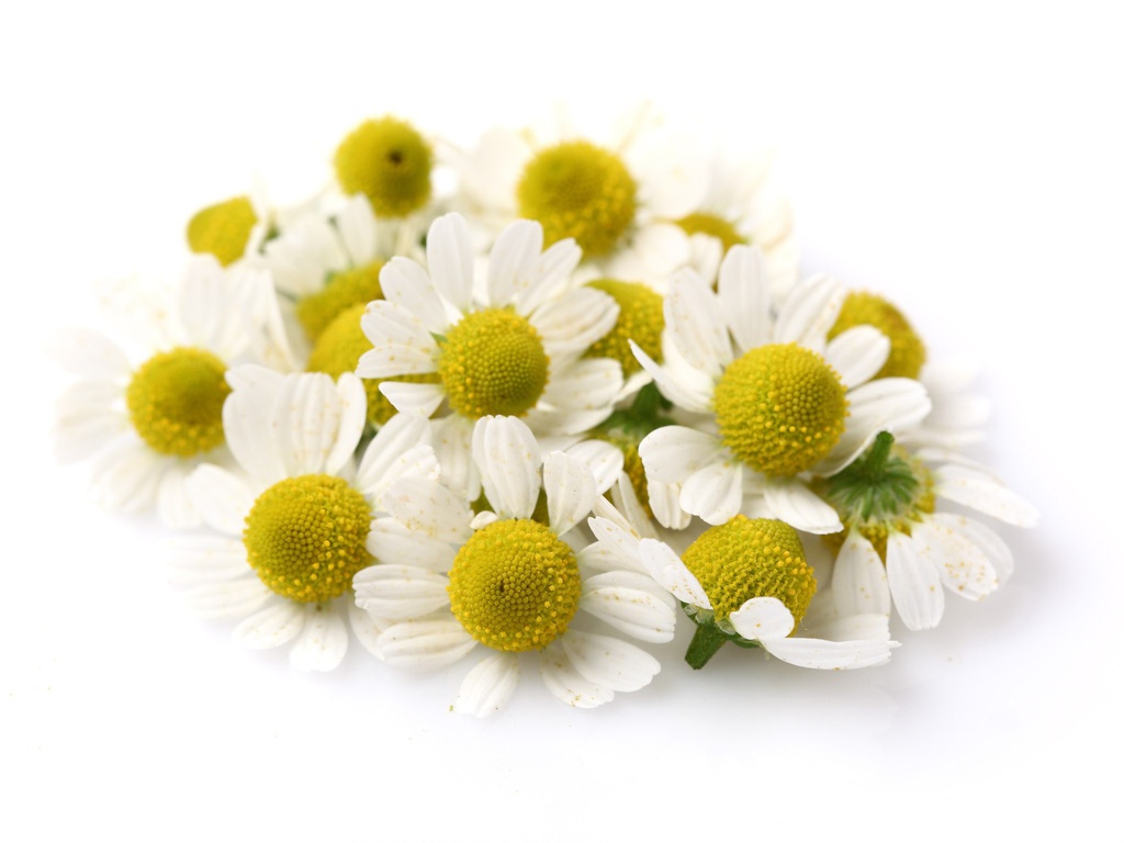 Raw Chamomile Oil