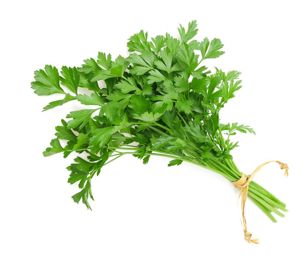 Raw Parsley Oil