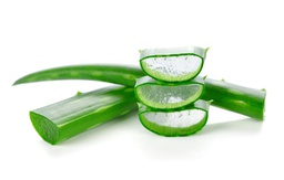 Aloe Vera Fragrance Oil