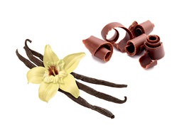 Chocolate Vanilla Fragrance Oil