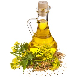 Raw Mustard Oil