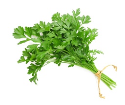 Raw Parsley Oil