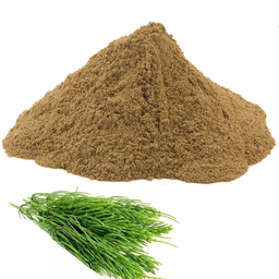 [HT-720231] Horsetail Extract